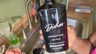 Dollar Tree Dishes Peppermint Sage Dish Soap! Yes or No!!! My Review   Thought!!