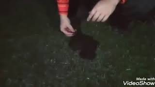 Receb Ivedikin Inek Bu Yediği O Video Receb Ivedik 6