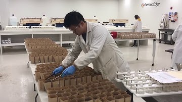 Soil Sampling Part 2 - Testing the samples at the Farmers Edge Soil Lab