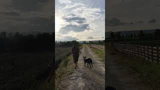 Dudu Idamanmu shorts short shortsfeed short shortsyoutube shorts