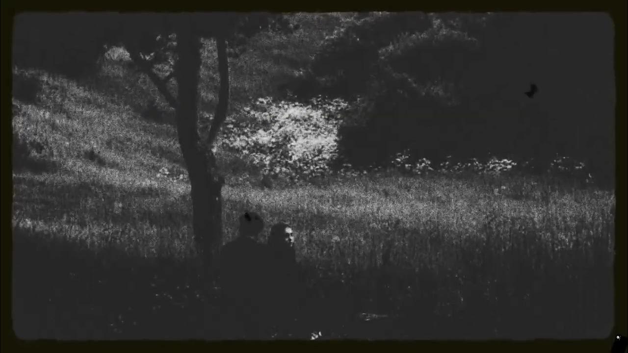 love story | dark academia violin version | dreamcore | slowed & reverb | joel sunny love story | dark academia violin version | dreamcore | slowed & reverb | joel sunny