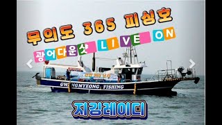 실시간 ] 지깅레이디와 함께하는 라이브 방송 #무의도 #365피싱 #모비스낚시아울렛 #광어다운샷 #농어 #외수질 #지깅레이디