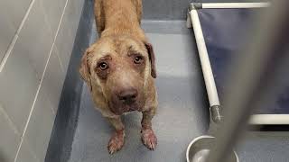 acs A659628