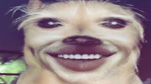 CS:GO Highlights #3 - DOOM Music!!