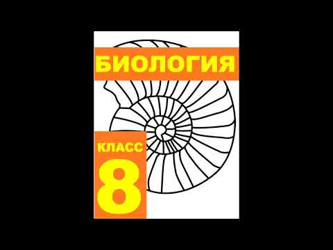 § 25 Пищеварение в ротовой полости. Глотка и пищевод