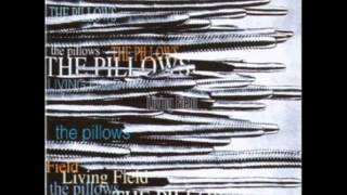 Watch Pillows Native World video