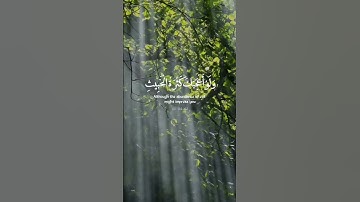 دقيقه من وقتك للقرآن الكريم #القرآن_الكريم
