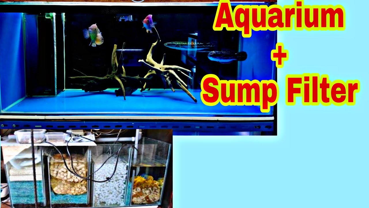 Cara Kerja Dari Sebuah Sump Filter Pada Aquarium YouTube