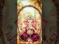 Ganpati Bapa Trending Short Video 3092025 