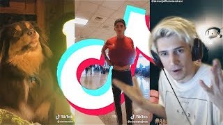 xQc Reacts to tik toks that have no reason to exist🤡❌ | xQcOW
