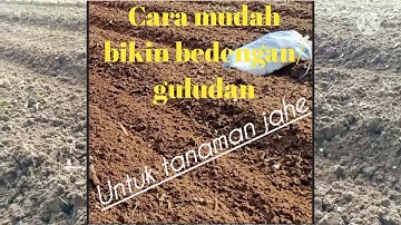 Cara mudah bikin bedengan utuk tanaman jahe