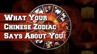 What Your Chinese Zodiac Says About You What Your Chinese Zodiac Says About You