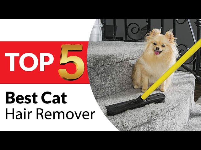 The 5 Best Pet Hair Removers of 2024, Tested and Reviewed