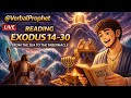Book Of Exodus Bible Study Marathon! Learn with me