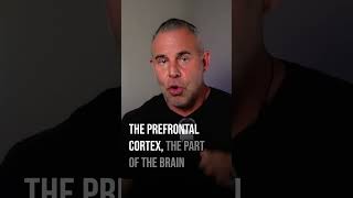 Creatine for Memory? The Results Are In