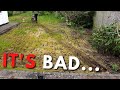 Customer BURNS a Mossy Lawn with Fertiliser - We were SHOCKED!