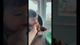 Full What my picky toddler eats in a day #pickyeater #foodallergy News