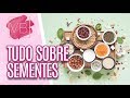 Tudo sobre sementes - Você Bonita (06/05/19)