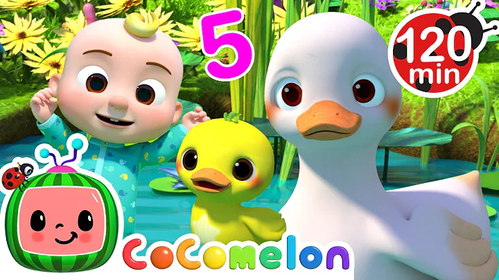 Count 5 Little Ducks with Baby JJ! 🐤 | CoComelon Nursery Rhymes and Kids Songs | Animals for Kids