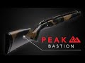 The Bastion Stock