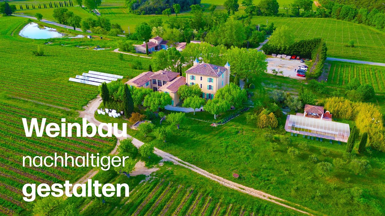 Schritt für Schritt zum Weingut der Zukunft: Aktuelle Forschung auf Château Duvivier