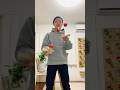 けん玉ジャグリングからの…!!! #kendama #shorts
