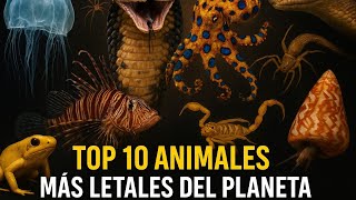 10 ANIMALES MAS VENENOSOS DEL MINDO