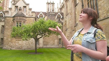 Cambridge Judge Business School PGDE