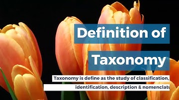 Introduction To Angiosperms Taxonomy
