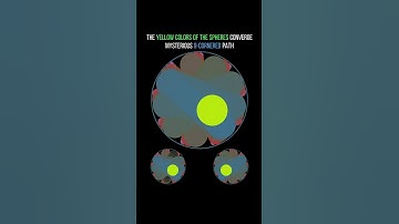 The yellow colors of the spheres converge.#bouncingball #maths #viralvideo  #python