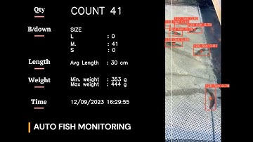 Auto Fish Monitoring With AI
