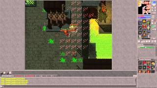 Tibia Mount Walker