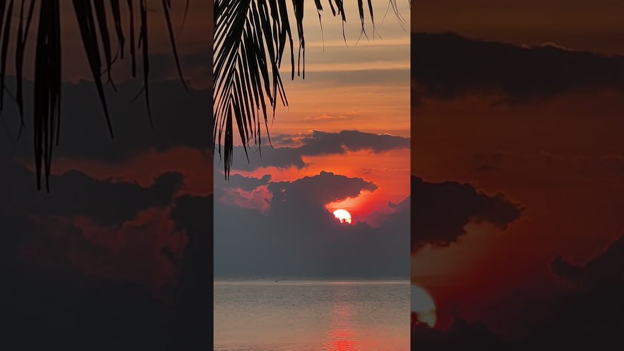 Lomibeats - First Day (relaxing music) 