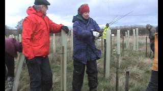 Tree Planting.avi