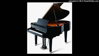 Mozart 8 Variations K.460