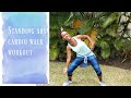 Standing Abs Cardio Walk Workout - Lose Belly Fat Workout!