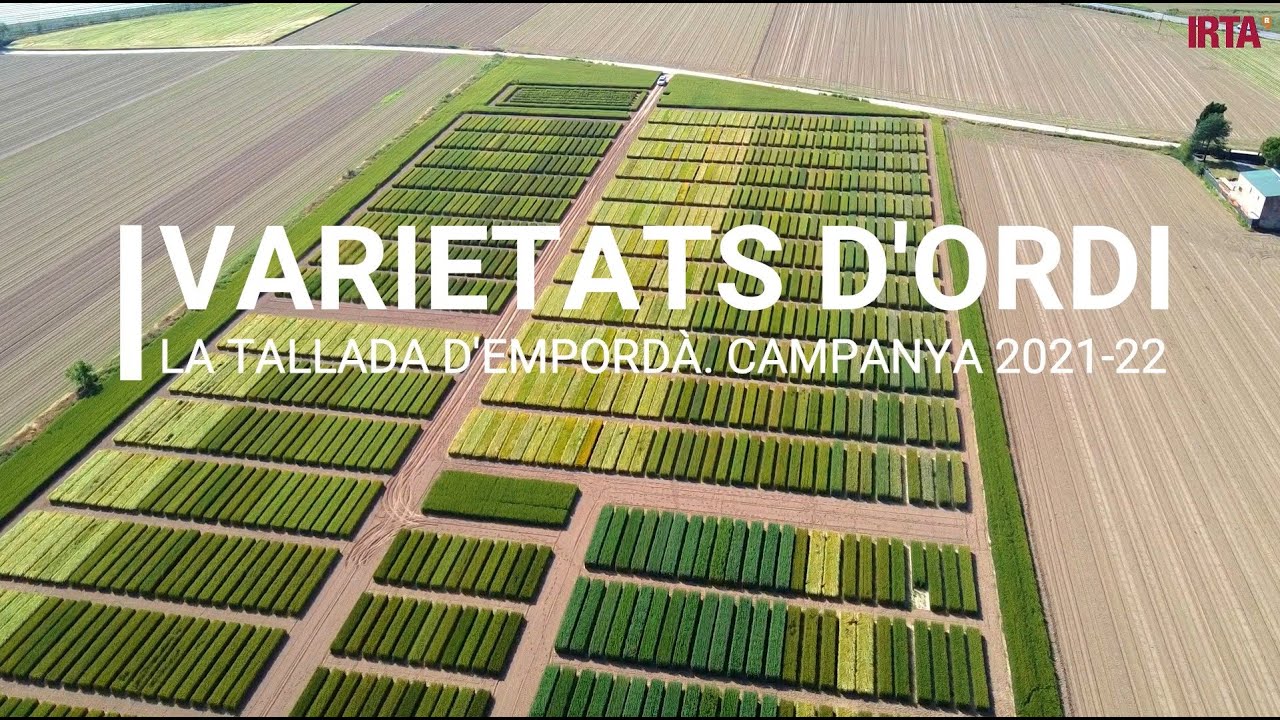 Varietats d’ordi de primavera. Campanya 2021-22