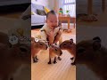 赤ちゃんとカピバラ🐶 capybara and baby🤣#japan #cute #ai #baby #kawaii #かわいい#残念そうな顔 #funny #dance #pets