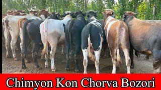 CHIMYON , XONQIZ , MINDON KON CHORVA BOZORI. Hammasidan bor. 18 июня 2025 г.