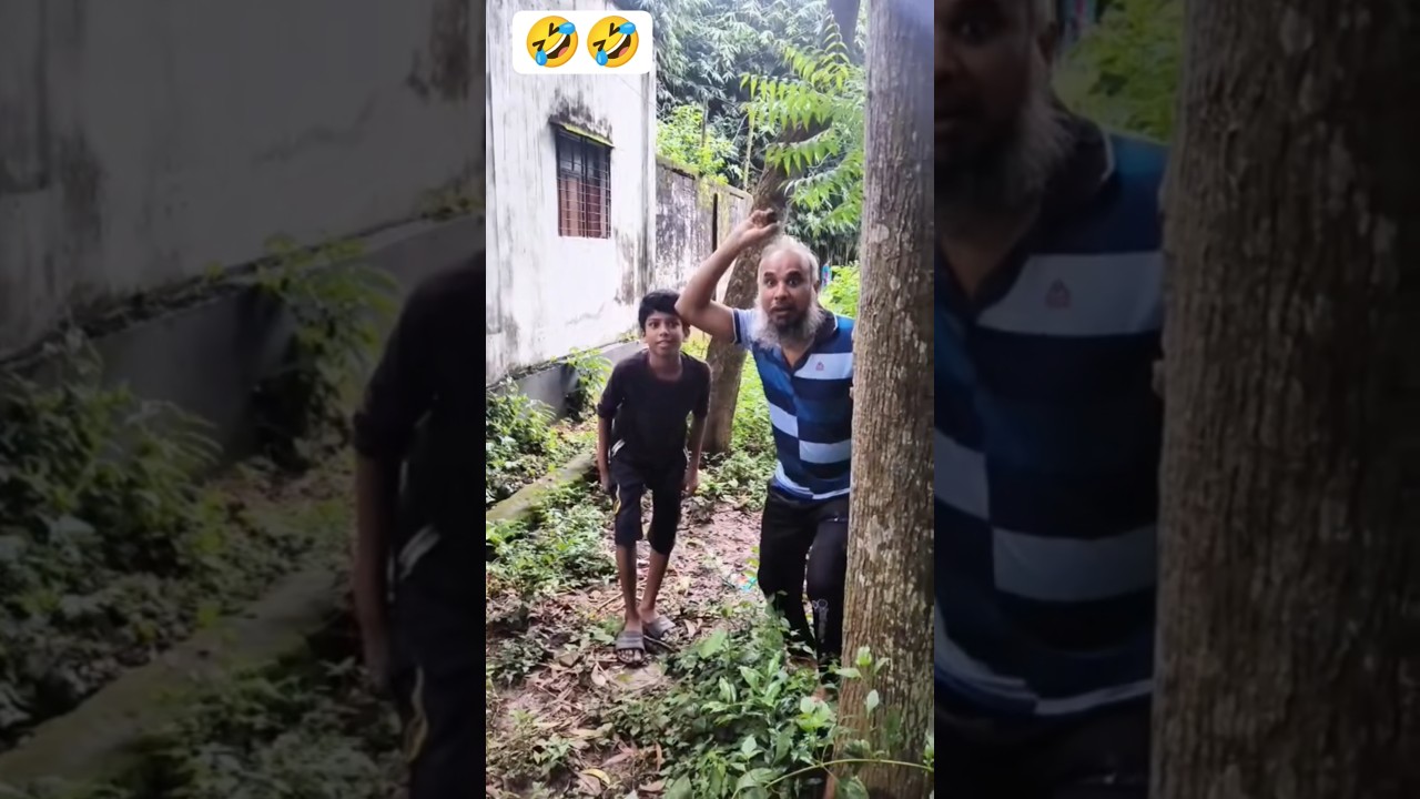 Fun and comedy video 