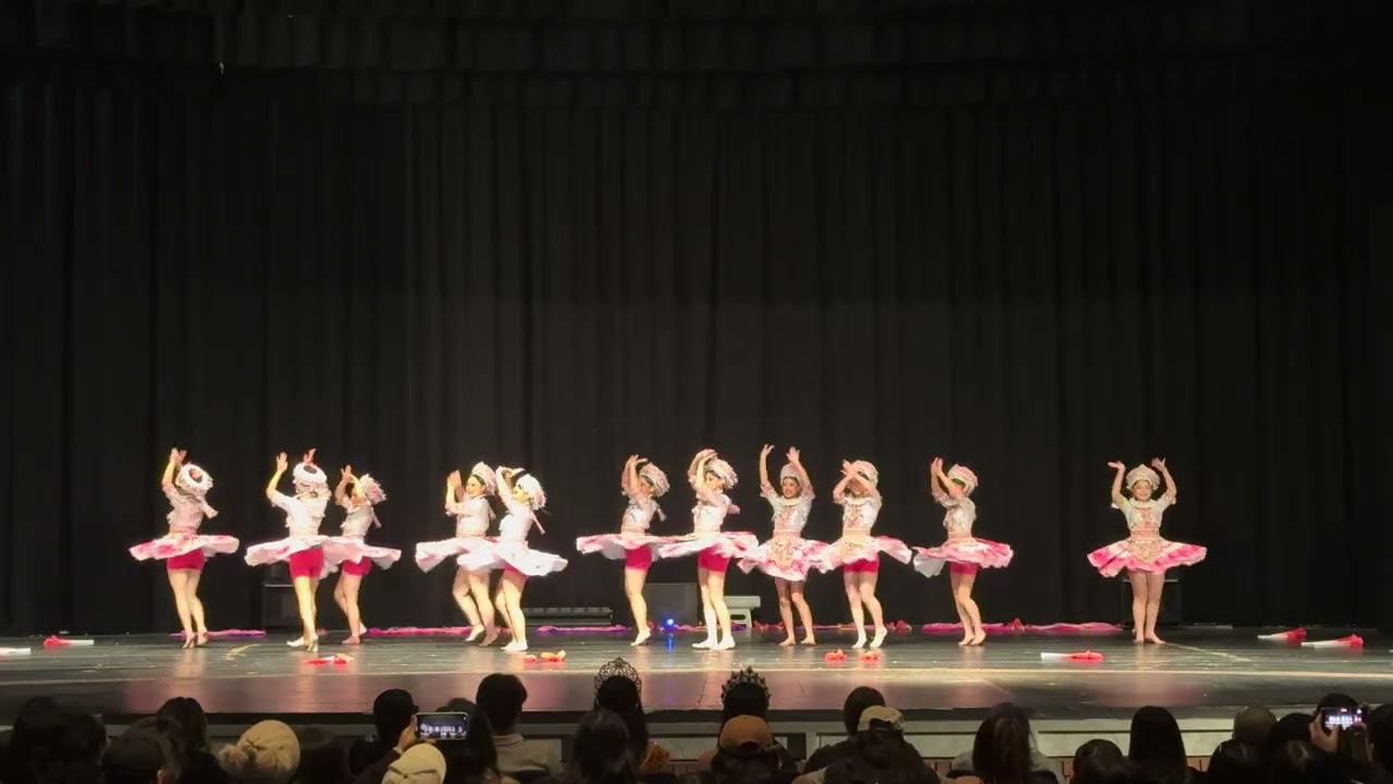 Cim Keeb (CK) Hmong Dance - MSDI 2025 Dance Recital