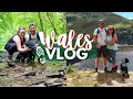 WALES VLOG! 🏴󠁧󠁢󠁷󠁬󠁳󠁿 PART ONE • farmhouse tour, Elan Valley, forest walks, Llandrindod Wells & market