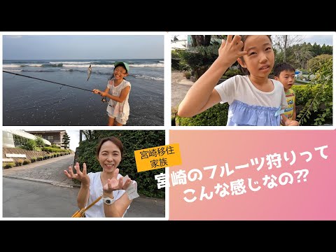 宮崎で初の梨ぶどう狩り!愛知との違いに驚愕!宮崎移住家族【#53】