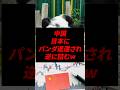 中国、パンダ返還されるもの逆に詰む結果にw