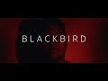 Blackbird cover by tapiwa