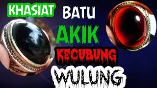 TERNYATA INI RAJANYA BATU KECUBUNG! TUAHNYA 10X LIPAT DARI BATU KECUBUNG BIASA. 