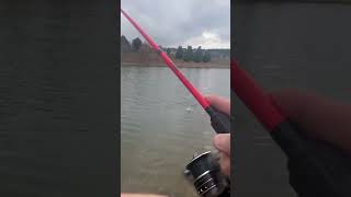 Fishing with @Parksj5o #country #bassfishing #fypシ #dink #alabama #sportfishing