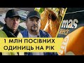 Як протруюють насіння? | Екскурсія заводом «MAS Seeds Україна» | Куркуль