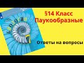 Биология 7 класс. §14 Класс Паукообразные