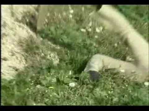 Texel Fretsaw Massacre